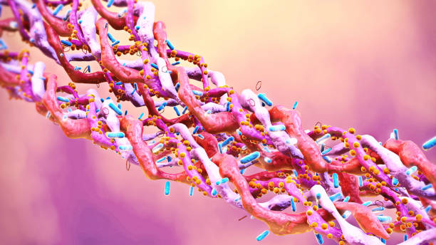How Peptides Shape Life Itself