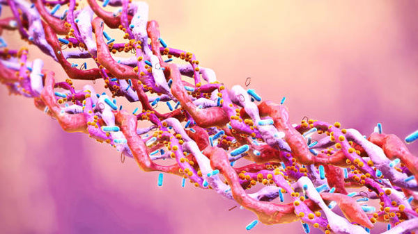 How Peptides Shape Life Itself