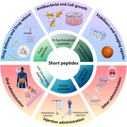 The Dynamic World of Peptides